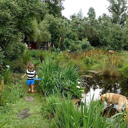 Boutique Vintage Forest Cabin Stormsrivier Luaran gambar
