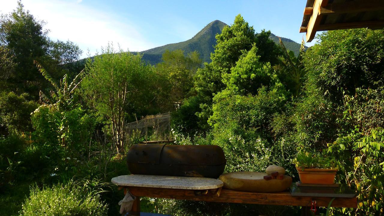Boutique Vintage Forest Cabin Stormsrivier Luaran gambar