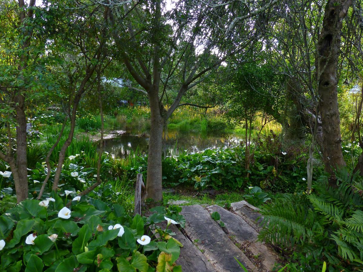 Boutique Vintage Forest Cabin Stormsrivier Luaran gambar