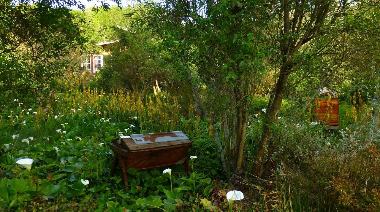 Boutique Vintage Forest Cabin Stormsrivier Luaran gambar