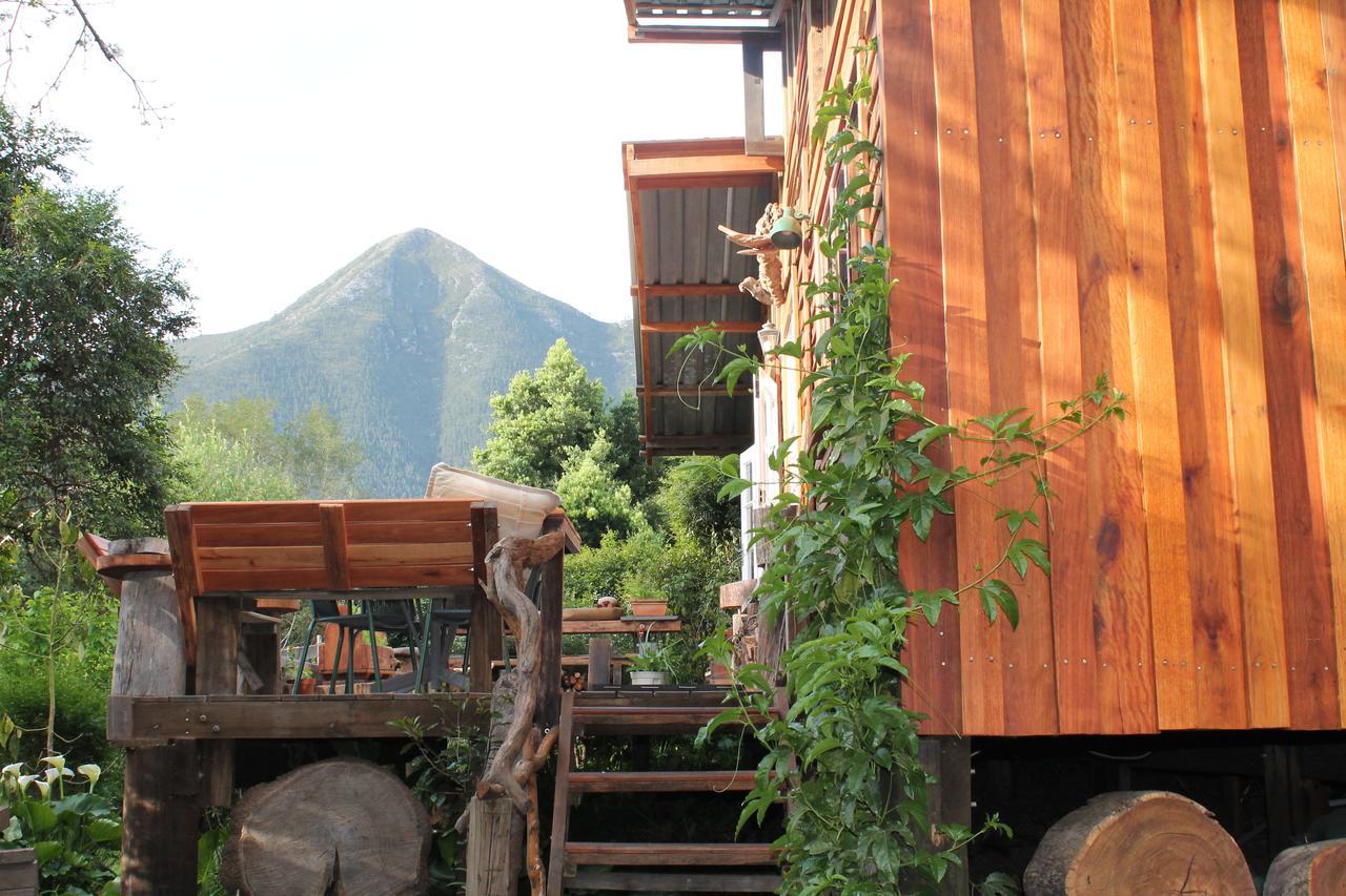 Boutique Vintage Forest Cabin Stormsrivier Luaran gambar