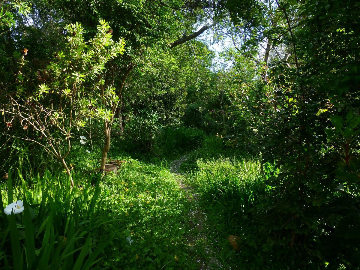 Boutique Vintage Forest Cabin Stormsrivier Luaran gambar
