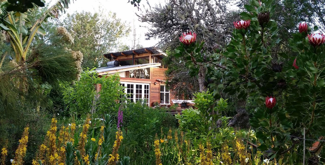 Boutique Vintage Forest Cabin Stormsrivier Luaran gambar