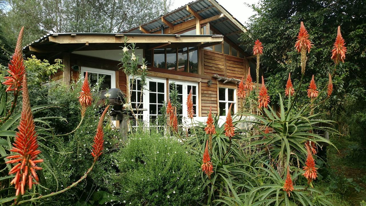 Boutique Vintage Forest Cabin Stormsrivier Luaran gambar